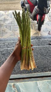 Asparagus