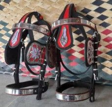 Horse Bridle
