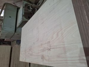 Commercial Plywood