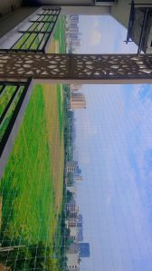 Anti Bird Net Installation