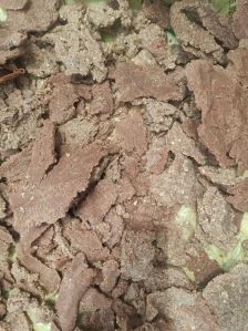 High Quality Groundnut Cake Dealer