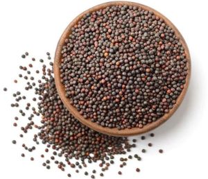 Brown Mustard Seeds, Packaging Type : Plastic Pouch, Plastic Packet