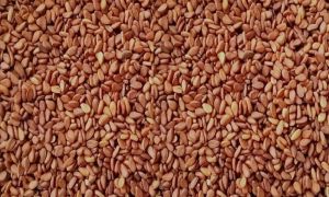 Red Sesame Seeds, Color : Reddish-brown