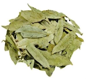 Senna Leaves
