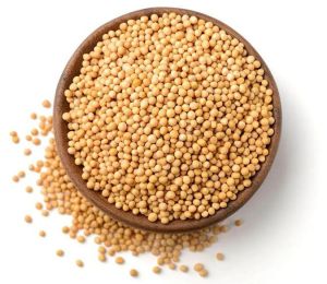 Yellow Mustard Seeds for Raw, Roasted