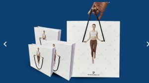 Paper Bags for Packaging, Sacks