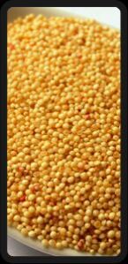 Amaranth Seeds, Packaging Type : Paper, HDPE Bags