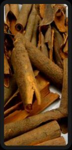 Dried Broken Split Cassia, Moisture : 14% Max