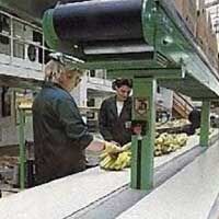 Hygienic Conveyor Belt