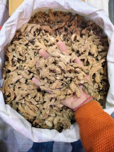 Dry Ginger, Packaging Type : Sealed Pouch for Cooking, Baking, Tea