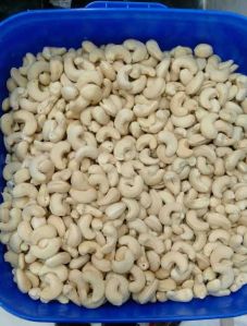 W240 Cashew Kernels