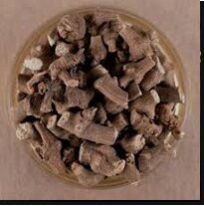 Brown Solid Whole Ganthoda