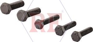 High Tensile Steel A194 Gr 2H Bolts