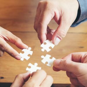 Business Management Consultants