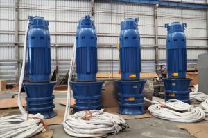 Submersible Pumps, Power : Electric