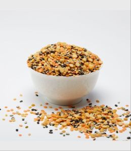 Mix Dal, Color : Multicolored, Packaging Type : Plastic Bag