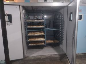 Poultry Egg Capacity Incubator