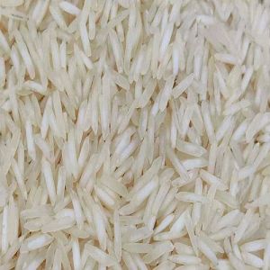 1509 Raw Basmati Rice, Purity : 95%, Moisture : 12.5% Max