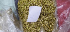 Coriander,  Shelf Life : 12 Months