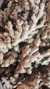 Natural Fresh Ginger, Color : Brown, Packaging Type : Gunny Bag