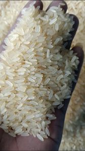 IR 36 Rice