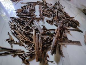 Agarwood Manipuri
