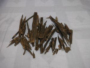 Agarwood Nagaland