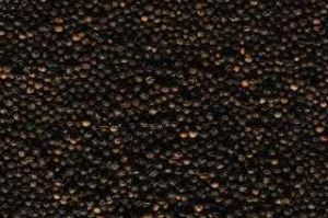 Organic Black Pepper, Grade Standard : Food Grade for Cooking, Spices
