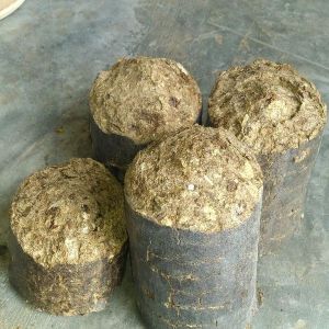 Hard Agro Waste Biomass Briquettes, Shape : Cylindrical for Industrial