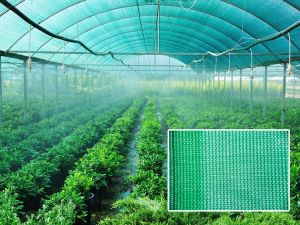 Plain Agro Shade Net, Color : Green, Packaging Type : Roll
