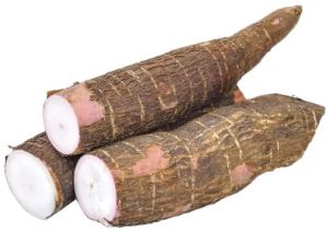 Fresh Tapioca, Variety Available : Sweet Potatoes