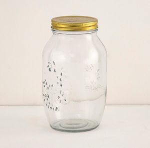 RPM-str-gj-004 Glass Storage Jars