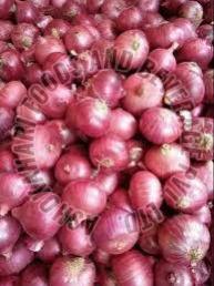 B Grade Red Onion, Packaging Size : 5Kg, 10Kg, 25Kg, Form : Whole