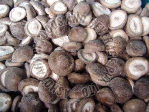 Frozen Black Mushroom, Packaging Size : 5 Kg