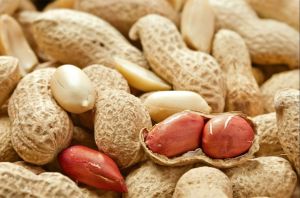 Shelled Groundnuts, Color : Light Brown, Packaging Size : 25-50kg