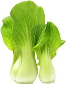 Bok Choy