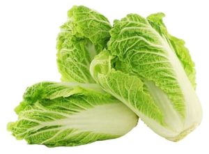 Chinese Cabbage, Color : Light Green