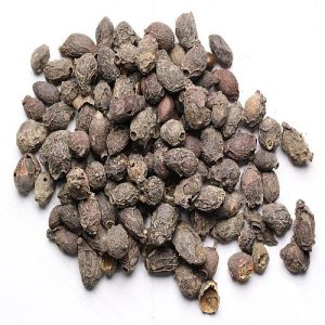 Dried Jamun Seeds, Color : Brown, Packaging Type : Resealable Pouch