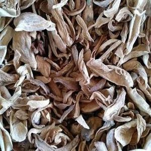 Whole Dried Mango, Grade Standard : Food Grade, Packaging Type : Bag