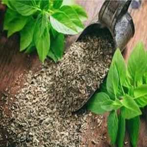 Dried Basil Leaves