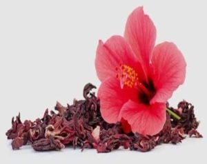 Dried Hibiscus Flowers, Condition : Clean Packed for Medical Use