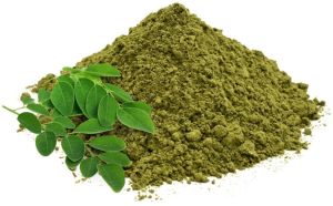 Blending Moringa Oleifera Powder, Purity : 100%, Grade : Food Grade