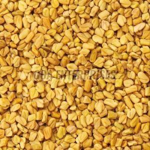 Fenugreek Seeds, Packaging Size : 25-50kg 9% Food Grade