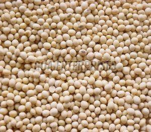 Raw Soybean, Color : Creamy, Packaging Type : Jute Bag, Bulk Bags