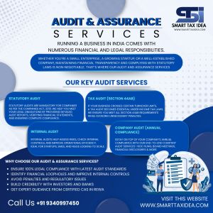 Audits Assurance Services