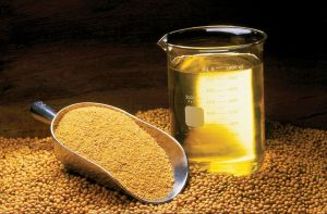 Refined Soybean Oil, Packaging Type : Bottle Or Drum, Purity : 100%