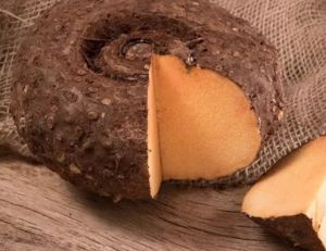 Cholans Exports Elephant Foot Yam, Color : Brown