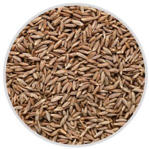 Cumin Seed Jeera