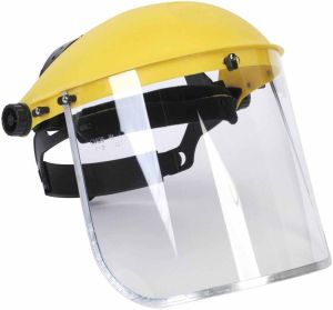 face protection shield