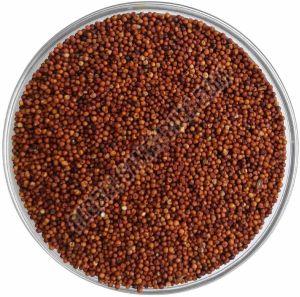 A Grade Finger Millet, Color : Brown